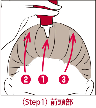 ステップ1　前頭部